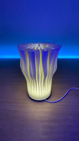 Zoan Table Lamp - View 1